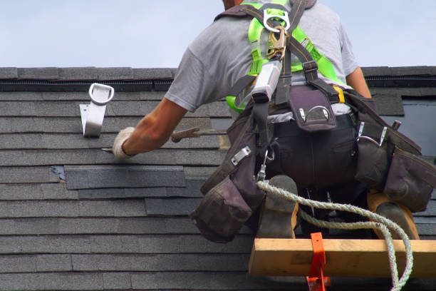Best Gutter Installation and Roofing  in Elwood, IL