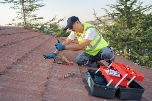 Best Storm Damage Roof Repair  in Elwood, IL