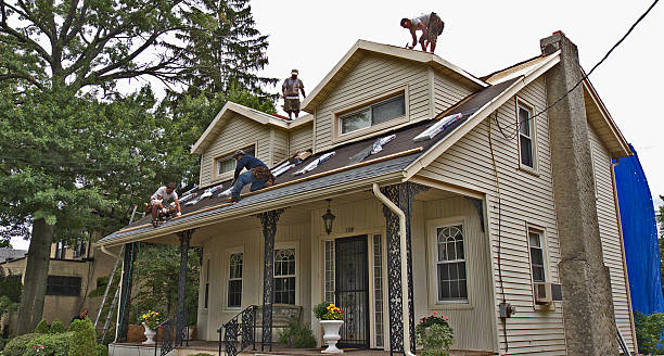 Best Roof Gutter Cleaning  in Elwood, IL